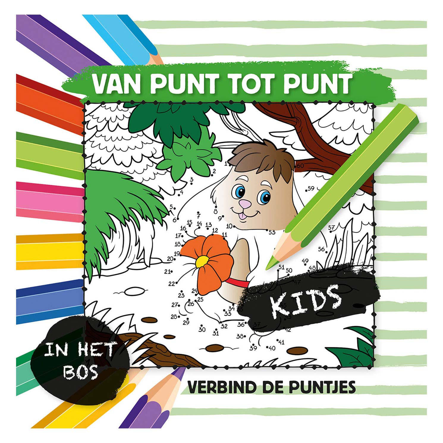 De point à point - dans la forêt