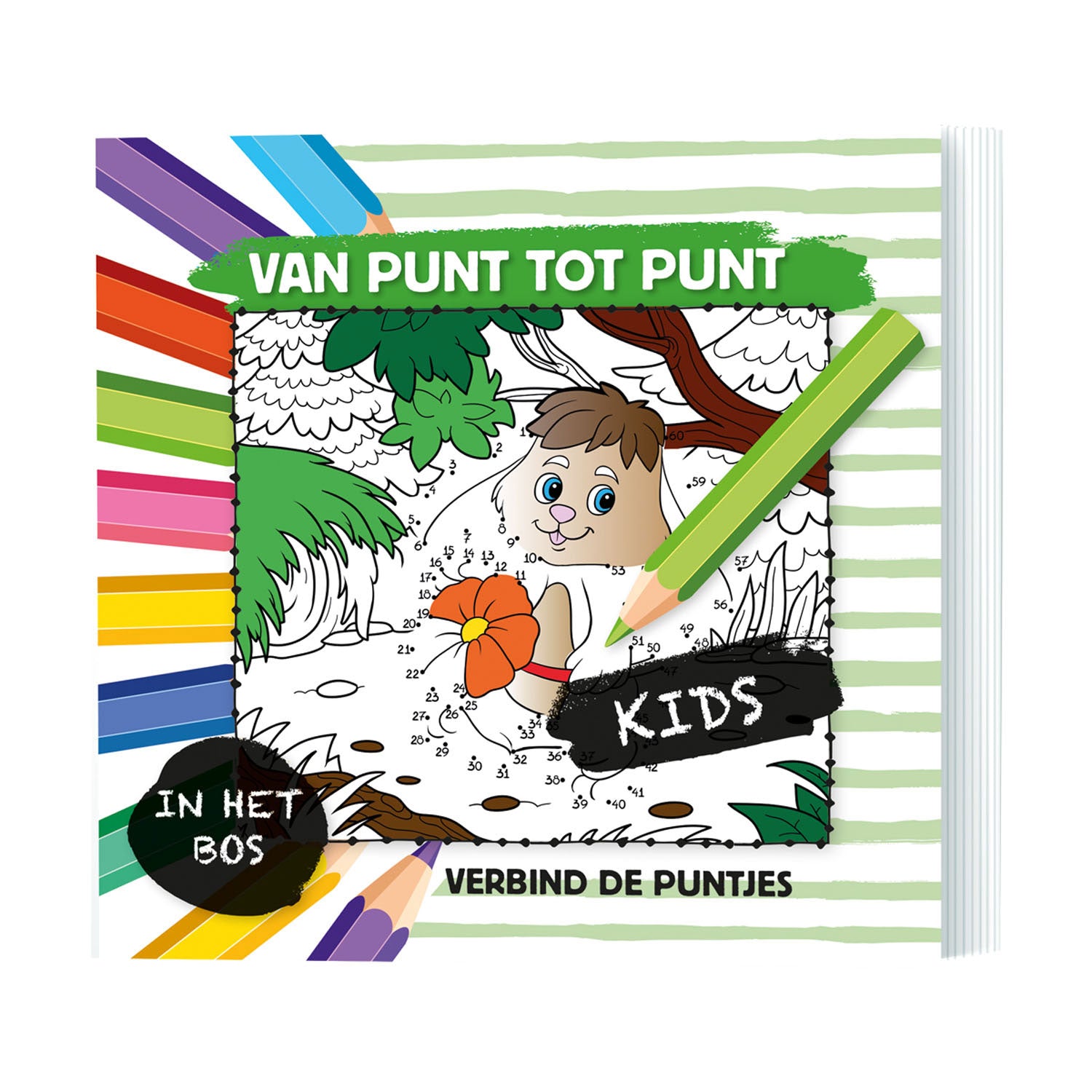 De point à point - dans la forêt