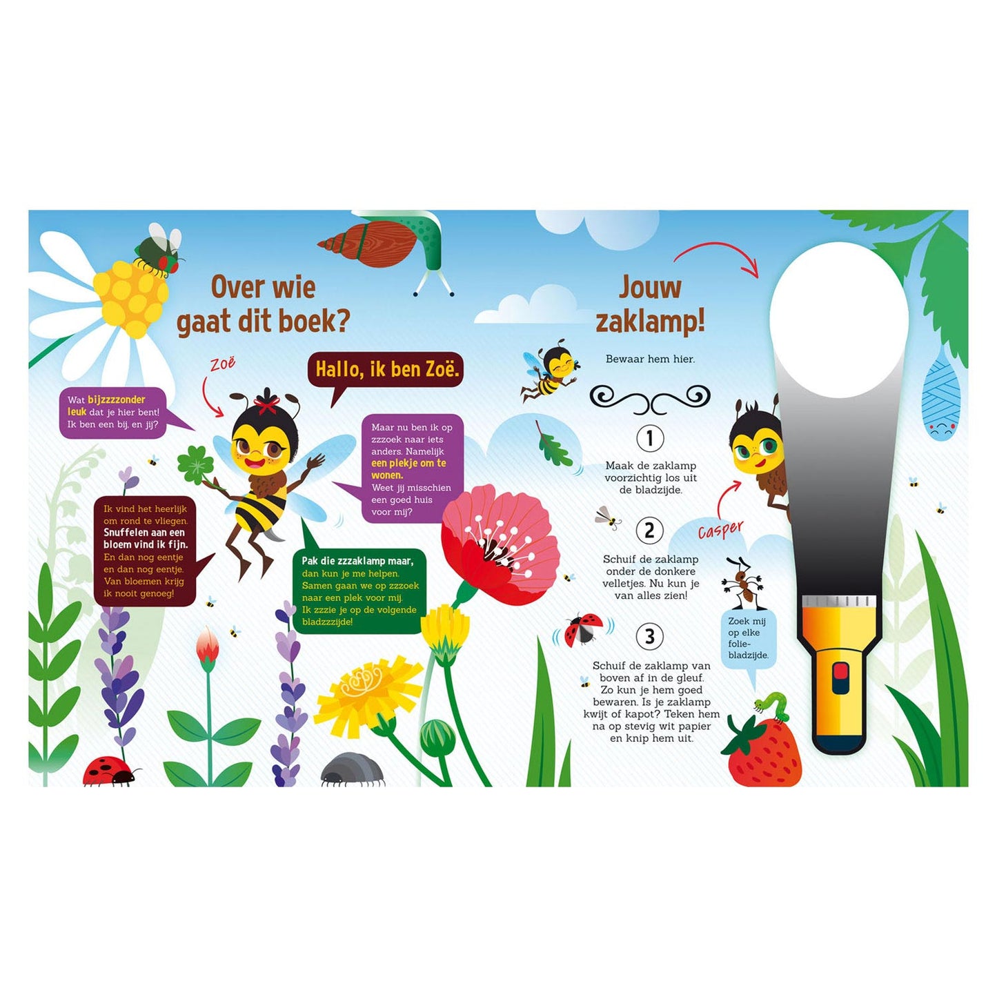 Recherche dans le monde des abeilles + lampe de poche en carton