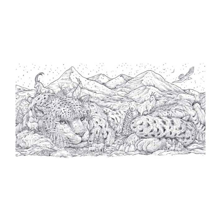 Livre de coloriage du monde animal des éditeurs de lanternes