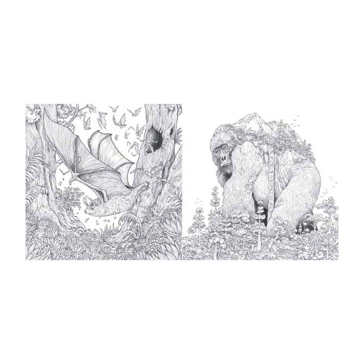 Livre de coloriage du monde animal des éditeurs de lanternes