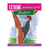 Éditeurs de lanternes point à point extrême - animaux de la forêt