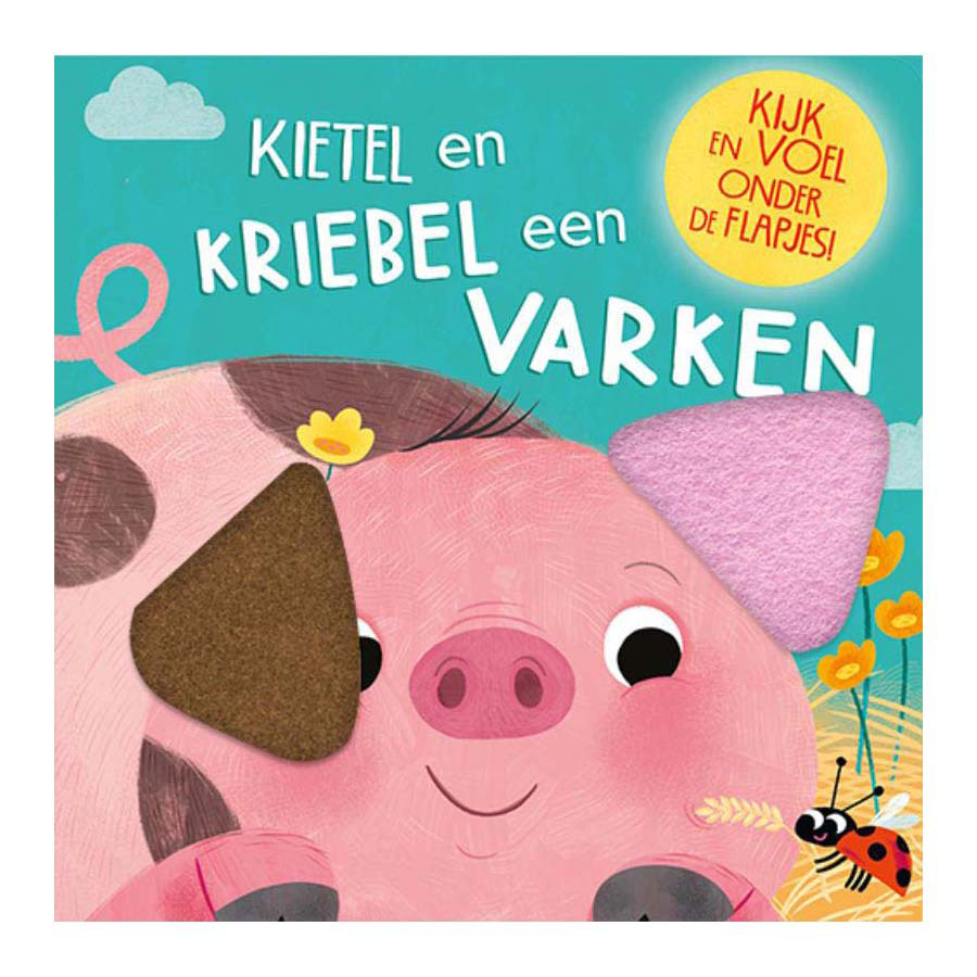Les éditeurs de lanternes chatouillent et chatouillent un livre à rabat de cochon