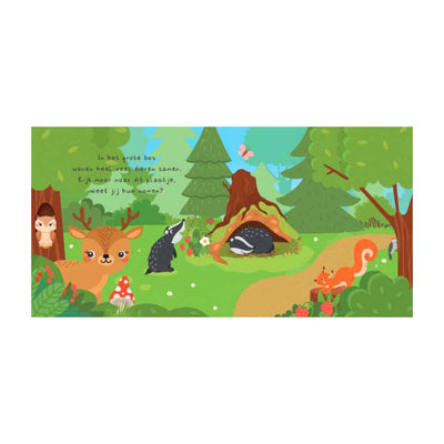 Éditeurs de lanternes, pouvez-vous me trouver ? dans les bois, livre de lecture et 20 cartes mémo