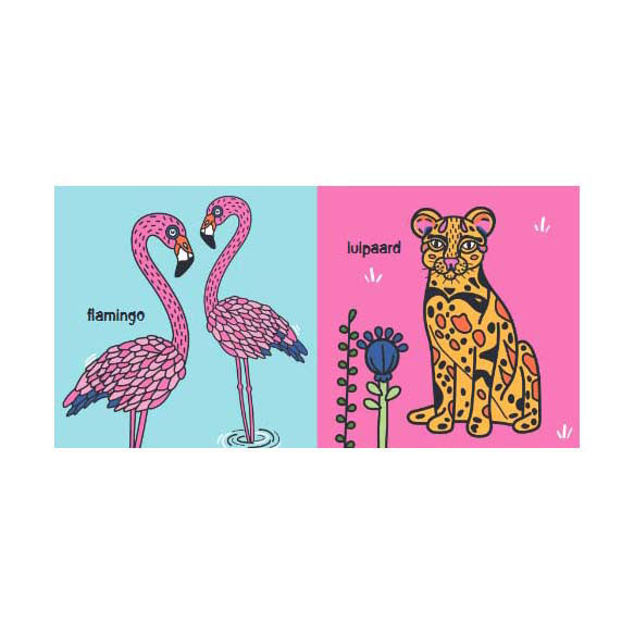 Lanterne éditeurs couleurs magiques - livre cartonné tropical