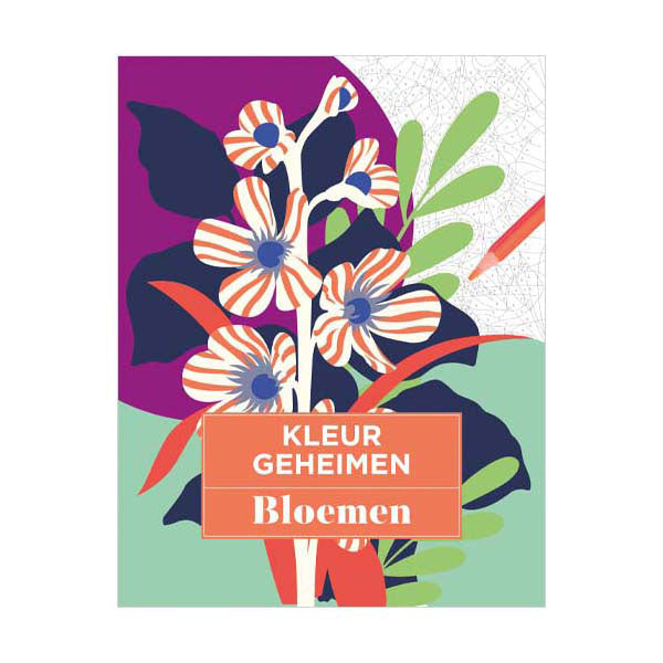 Secrets de couleurs des éditeurs de lanternes - fleurs