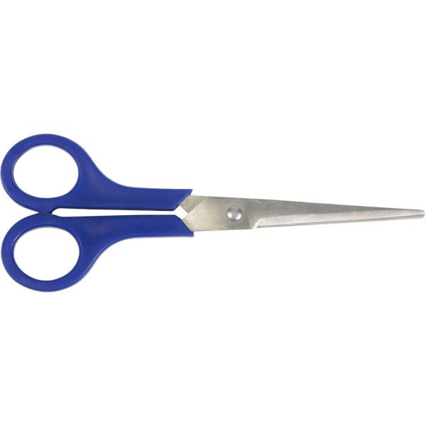 Ciseaux Cycle en acier inoxydable 20 cm