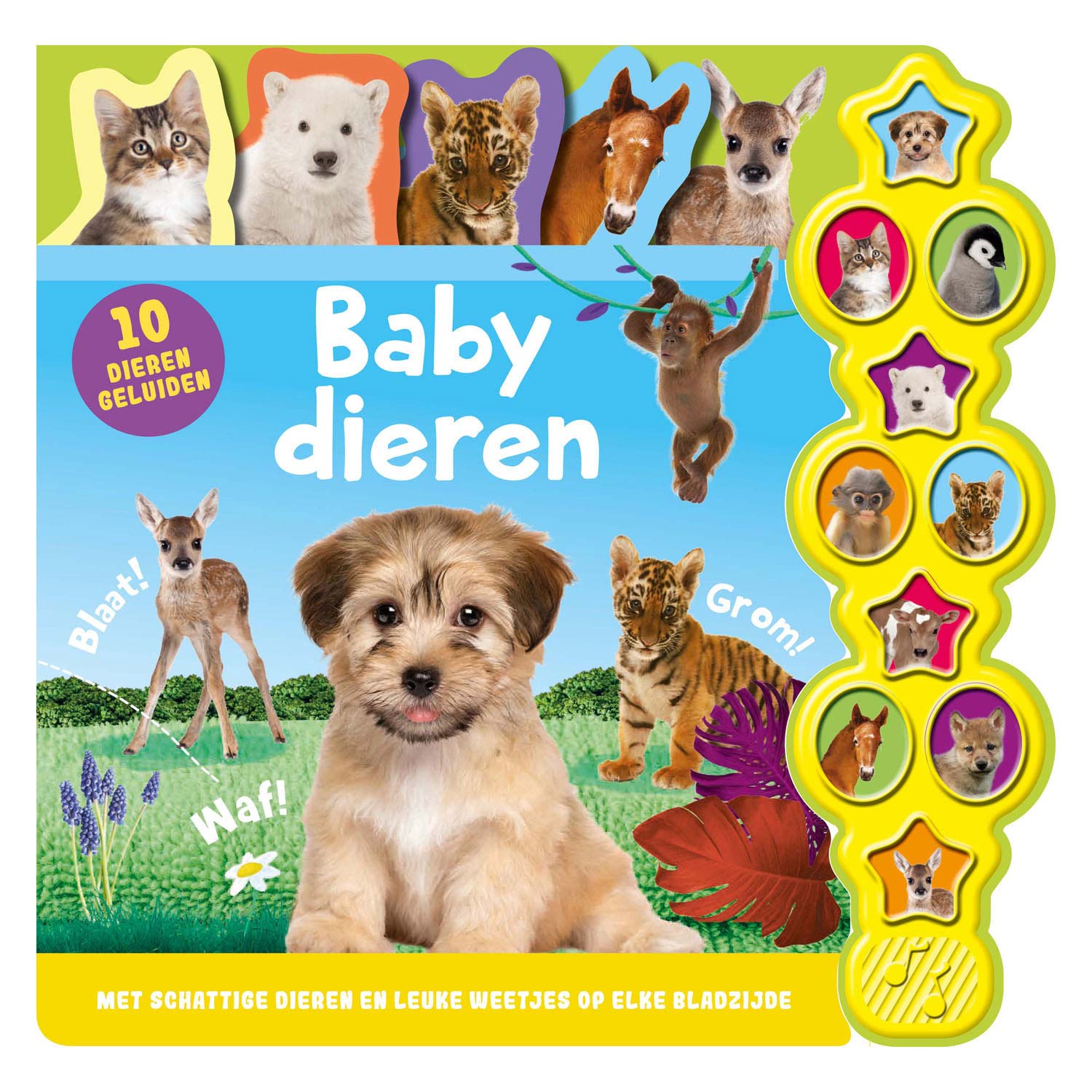 Rebo Publishers Sound Book Baby Animals