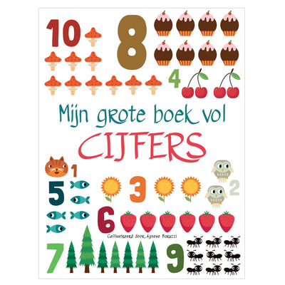 Rebo Publishers mon grand livre plein de chiffres