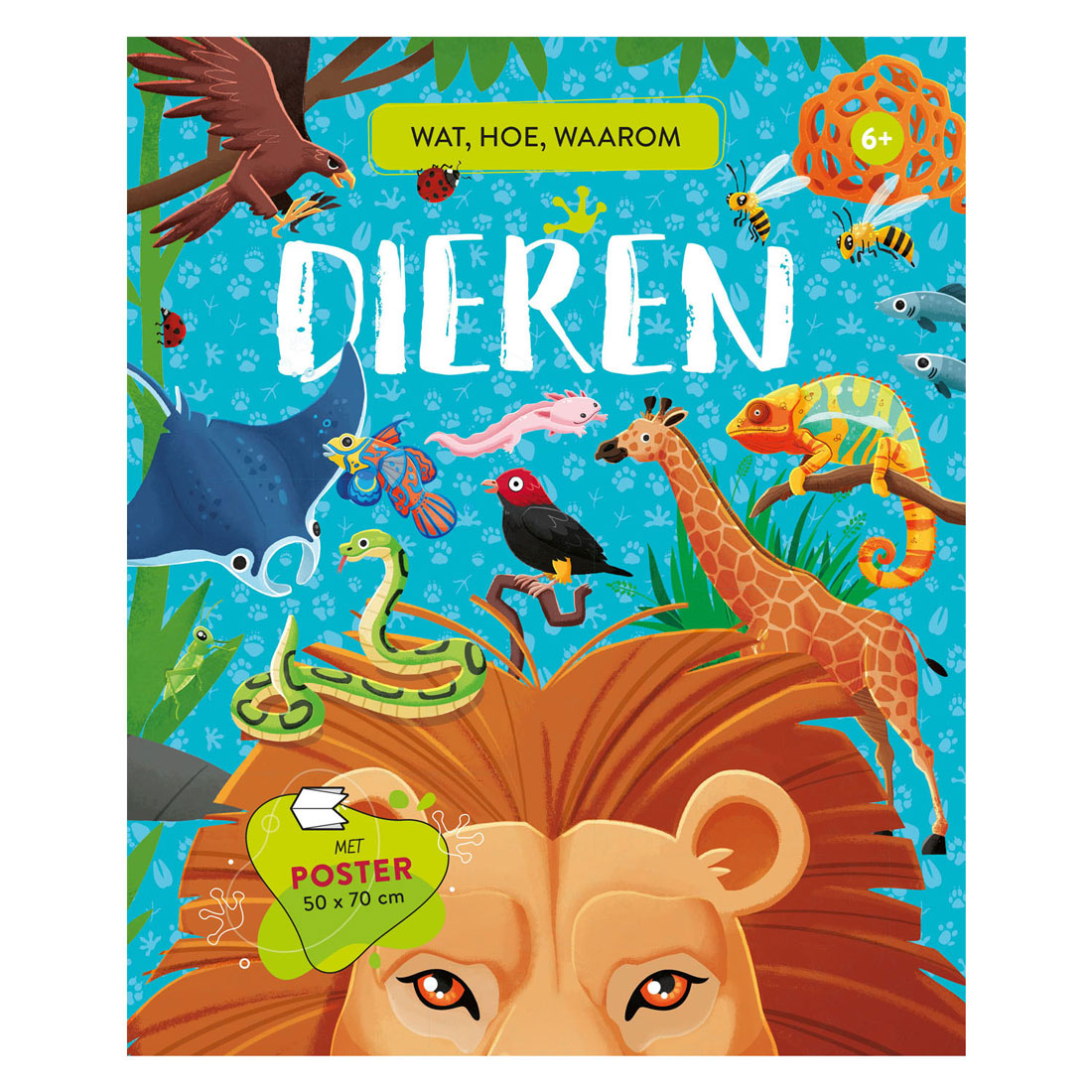 Rebo Publishers Animaux Quoi, comment, pourquoi
