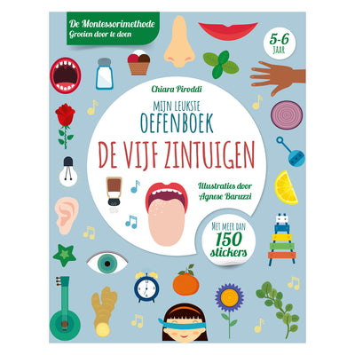 Rebo Publishers Five Senses Leukste Exercice Book