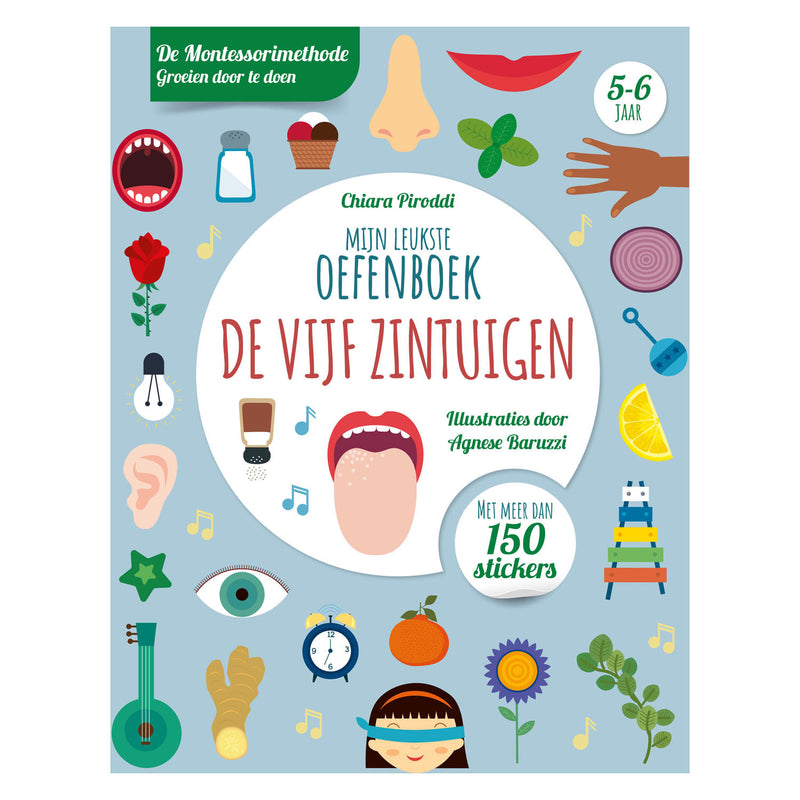 Rebo Publishers Five Senses Leukste Exercice Book