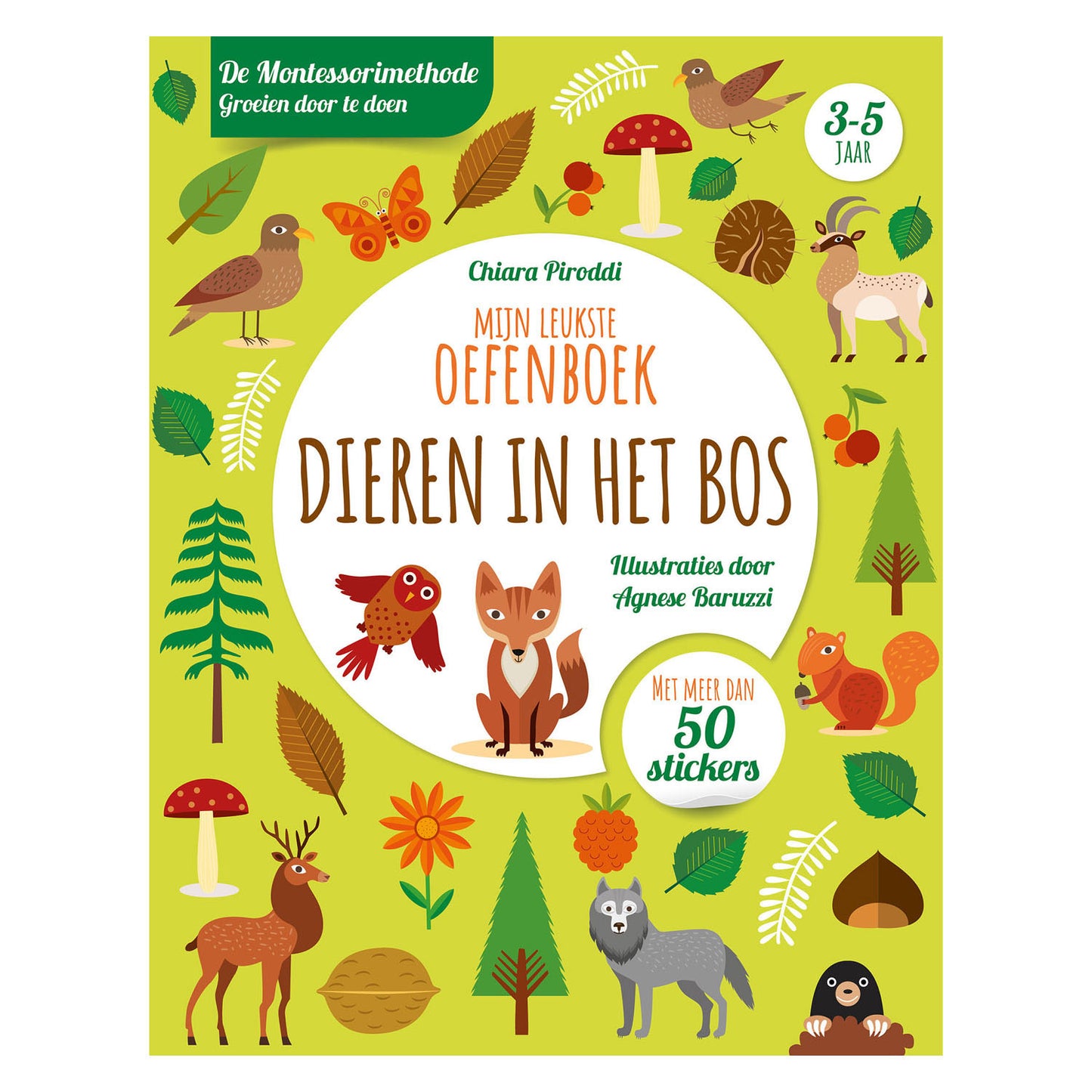 REBO Publishers Animals in the Forest Exercise Book
