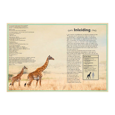 Groupe d'édition Gottmer le plus beau livre sur les bébés animaux