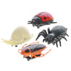 Insectes de chenilles de fenêtre, 4e.