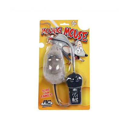RC RC Souris orientable