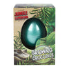 Oeuf d’expédition avec crocodile en croissance, 6cm
