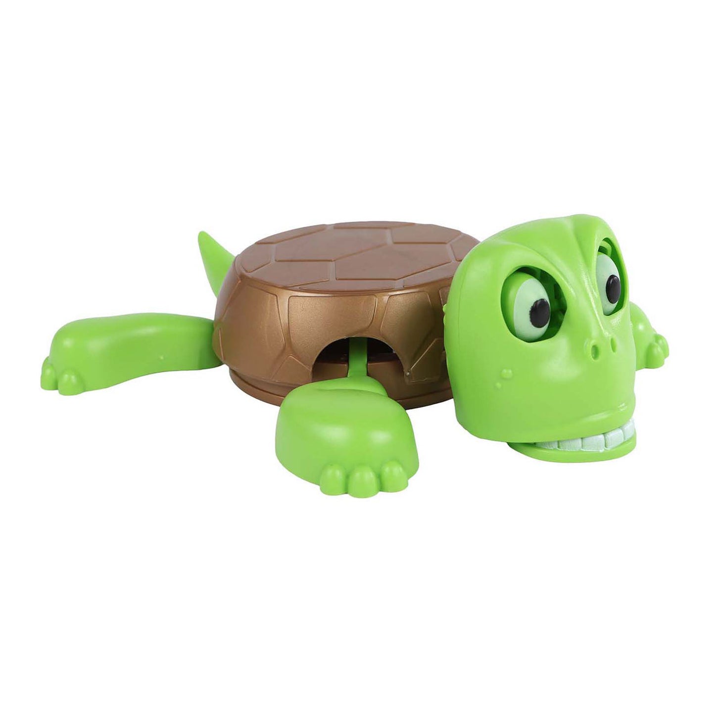 Dessous de verre tortue avec son