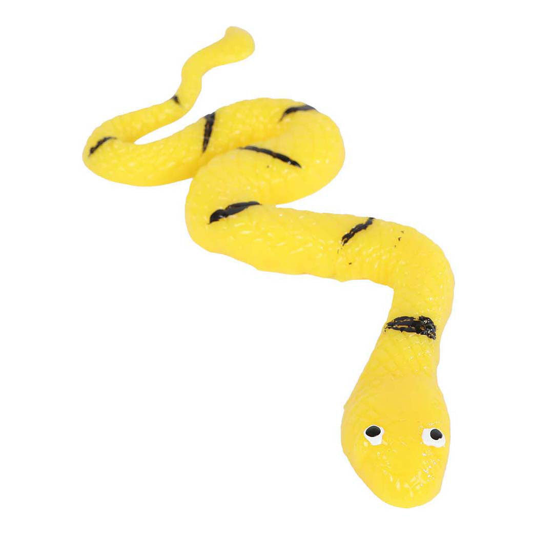 Serpents collants d’expédition dans la jungle