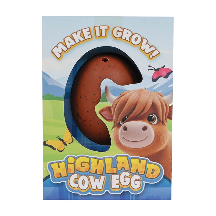Cultiver un Highlander écossais dans un œuf