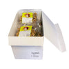 PETSNACK POULEUR SEMI-MAIIST