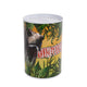 Box de l'argent Dinoworld Metal