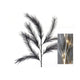 Branche d'herbe à plumes naturelles HBx avec LED 72cm noir