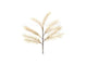 Branche d'herbe à plumes vivantes naturelles HBx avec LED 72 cm café