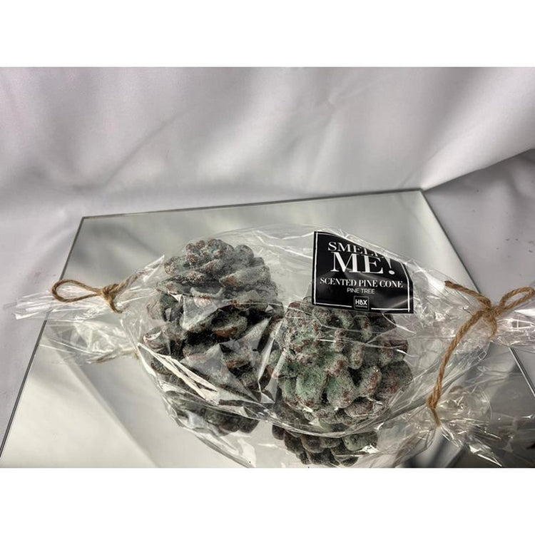 HBx parfum naturel vivant pommes de pin pin 2 pièces