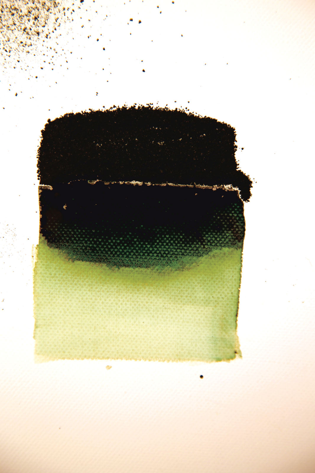 Powertex • poudre de bistre 30g vert