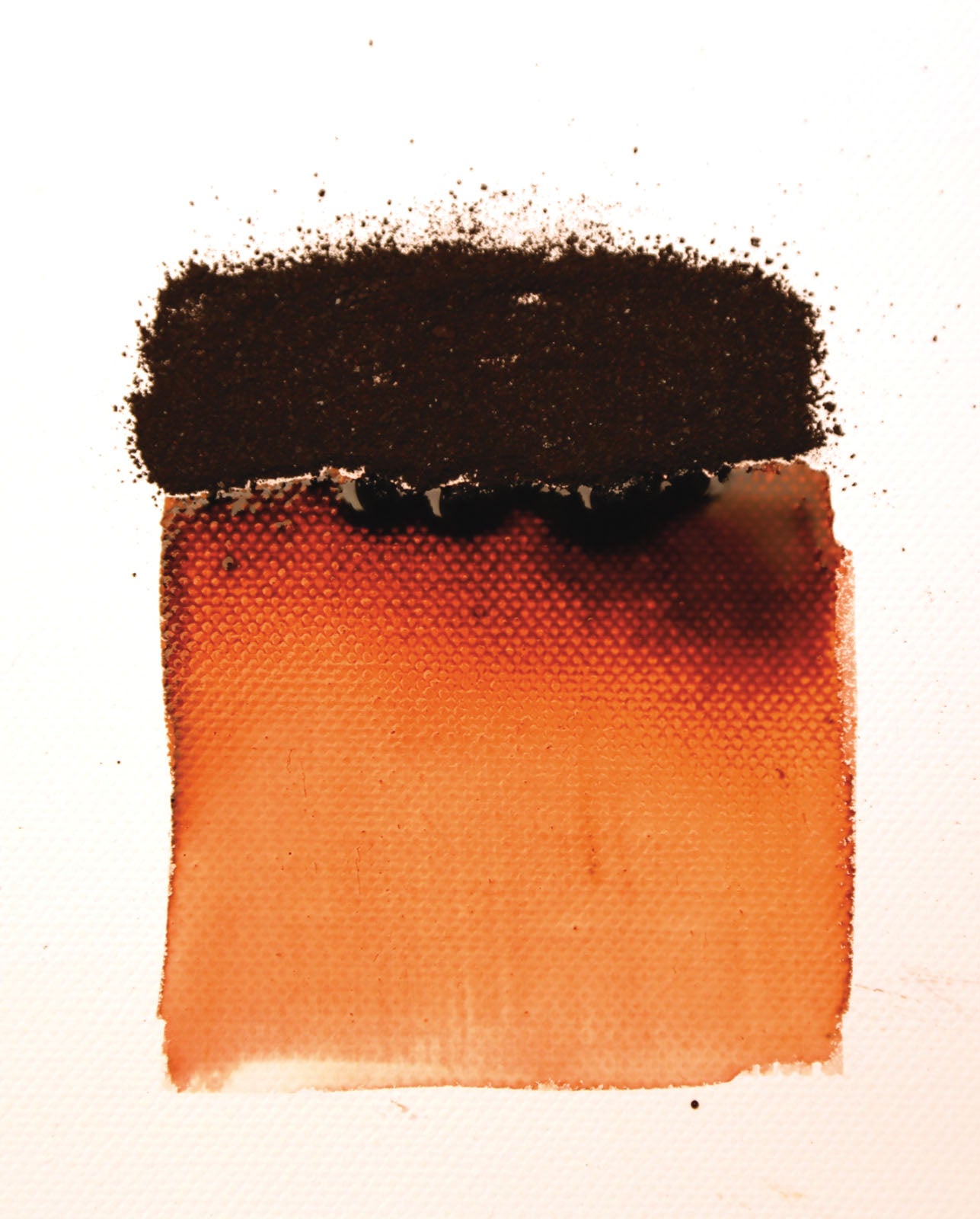 Powertex • poudre de bistre 30g acajou