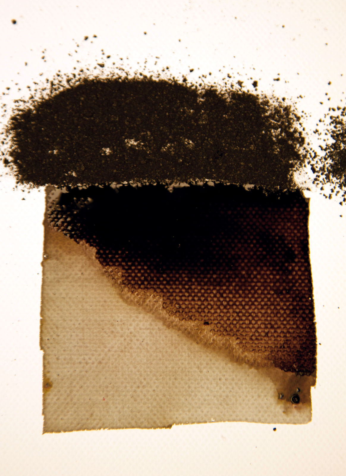 Powertex • poudre de bistre 30g noir
