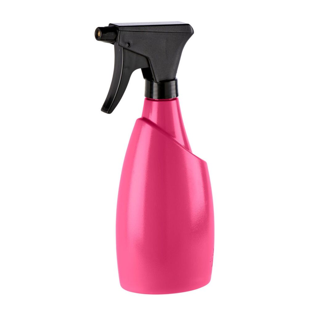 Pitoral plant EMSA EMSA Fuchsia 0,7 L rose