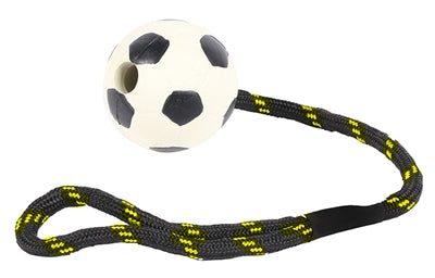Joyeux animal de compagnie Toys Werptouw avec du caoutchouc de football
