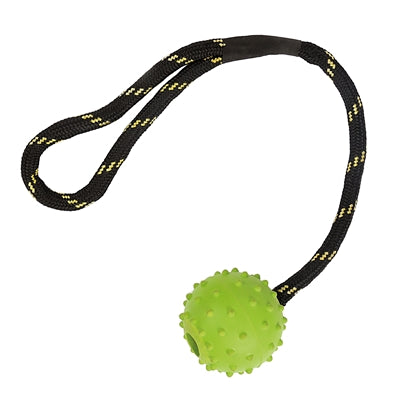 Joyeux animal de compagnie Toys Floater Ball Rouw Rouw Assorti
