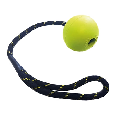Joyeux animal de compagnie Toys Float Jumbo Ball Rouw Assorti