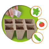SES SES Explorez la serre en bois avec des légumes - afbeelding 4