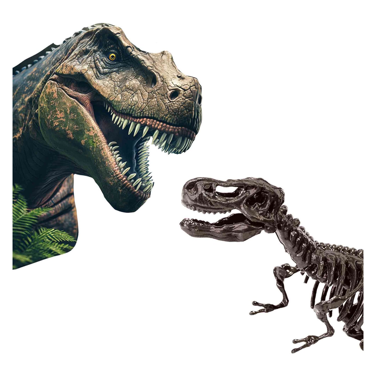 SES Explore et squelette excavé 2in1 T-Rex