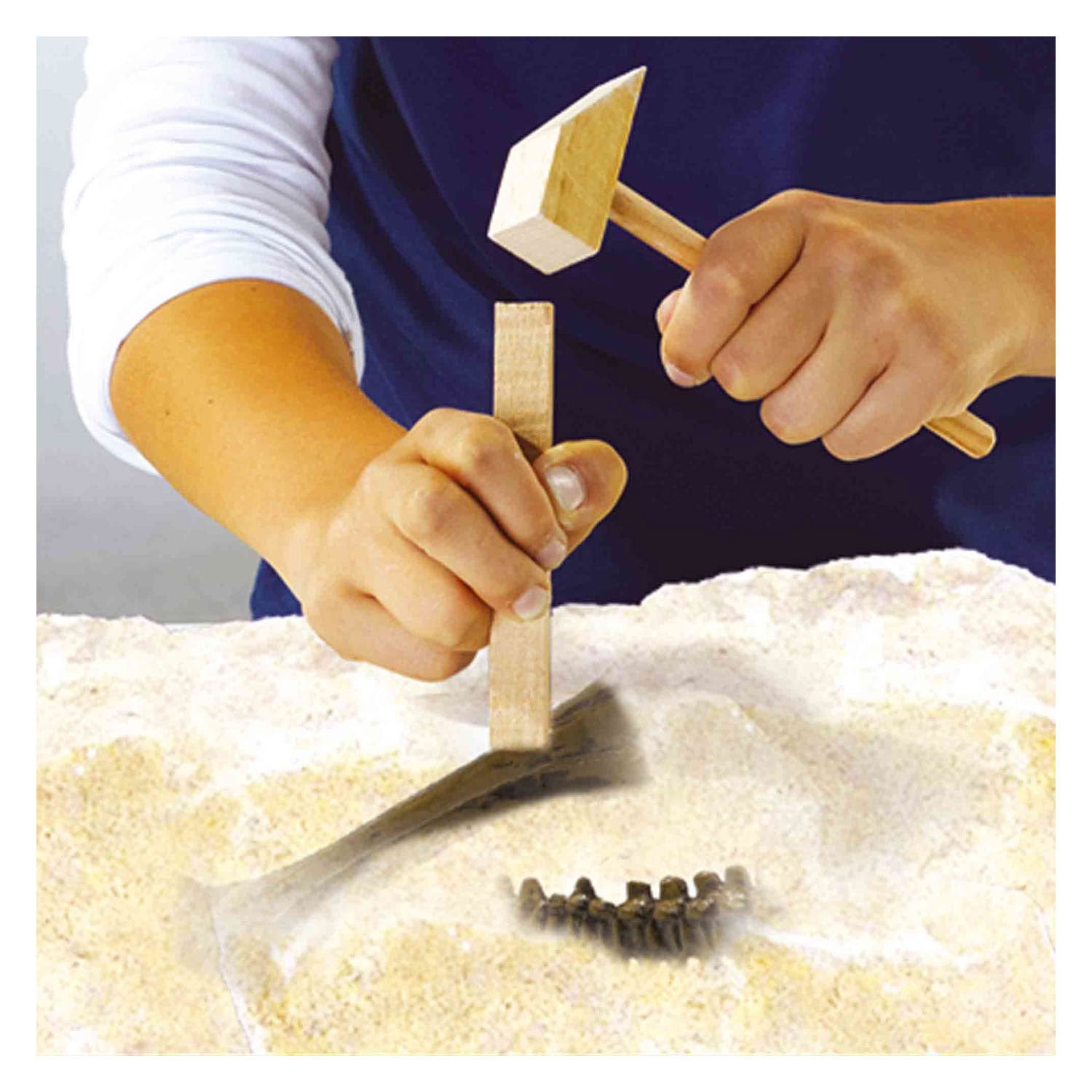 SES Explore et squelette excavé Triceratops 2in1
