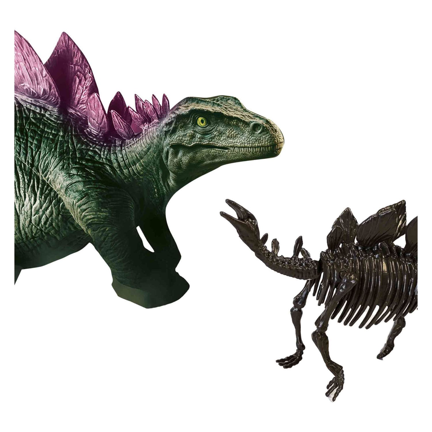 SES Explore et squelette fouillé 2in1Stegosaurus