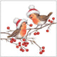Serviettes Ambiente 33cm merles de Noël
