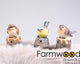Statue de jardin animaux de ferme oiseau avec son 9x6x10 cm