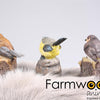 Statue de jardin animaux de ferme oiseau avec son 9x6x10 cm