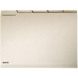 Dossiers suspendus leitz chamois 100 pièces carton