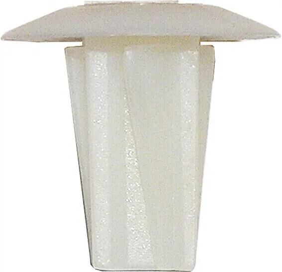 Dobshelhaus étalant la gué blanche