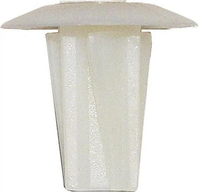 Dobshelhaus étalant la gué blanche