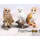 Statue de jardin animaux de ferme hibou 19 cm