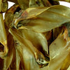 Petsnack Buffalo ears large with meat (oreilles de buffle avec de la viande)