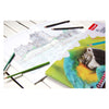 Crayons de couleur Bruynzeel Parrot 45