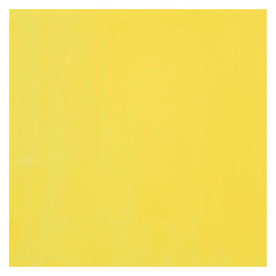 Bruynzeel Ecola Paint Paint Bouteille 16 ml Yelon citron (primaire) 205